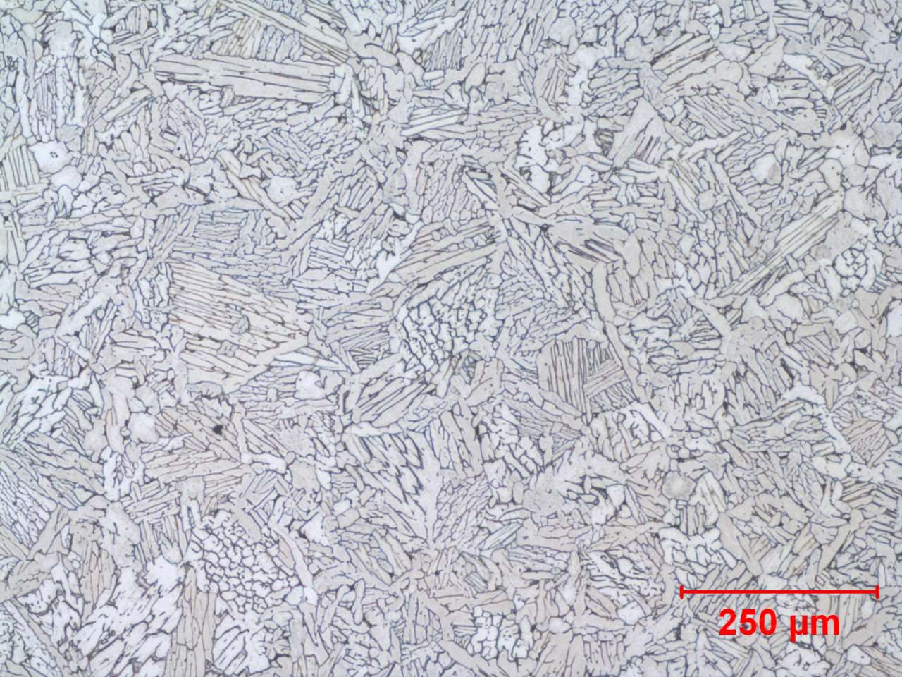 type-3-hiped-etchant-krolls-100x-250um-scale